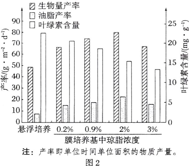 注产率即单位时间单位面积的物质产量图2