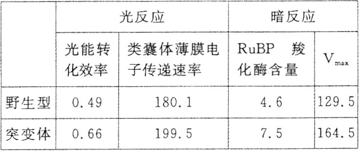 1645突变体066751995
