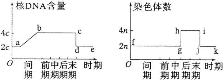间前中后末时期间前中后末时期期期期期期期期期期期
