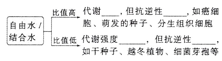 如干种子越冬植物细菌芽孢等