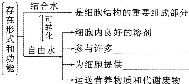 为细胞提供运送营养物质和代谢废物