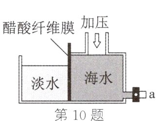 第10题