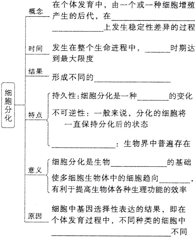 个体发育过程中不同种类的细胞中不同