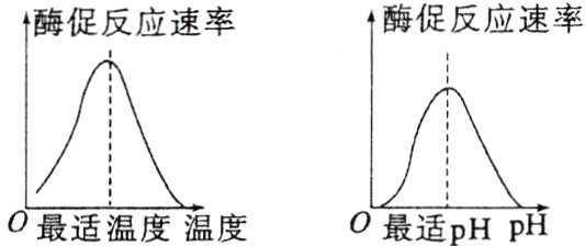 0最适pHP最适温度温度