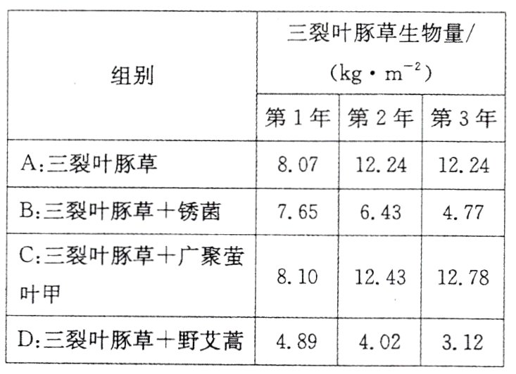 D三裂叶豚草野艾蒿489402312