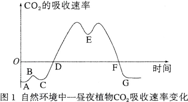 AC图1自然环境中一昼夜植物CO2吸收速率变化