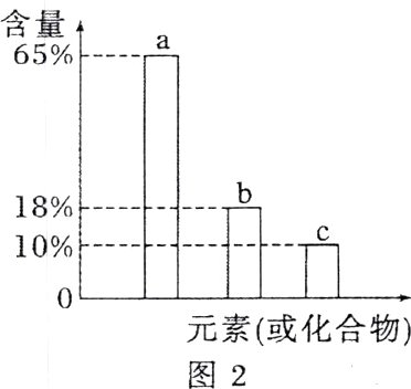 元素或化合物图2