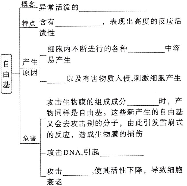 使其活性下降导致细胞攻击衰老