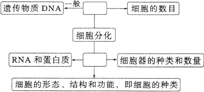 细胞的形态结构和功能即细胞的种类