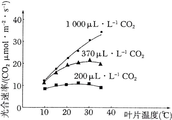 10203040叶片温度C