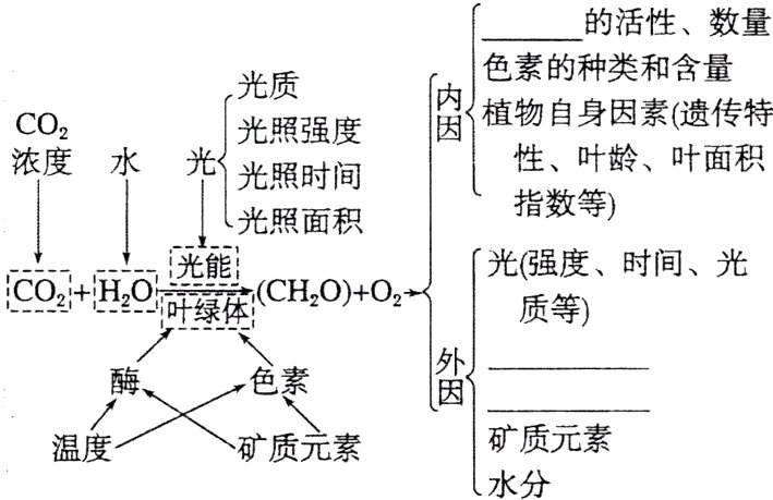 矿质元素矿质元素温度水分