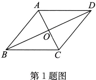 第1题图