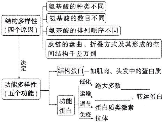 劲能亠田历蛋白质类激素免疫抗体