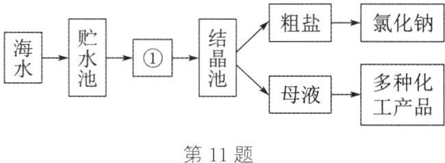 第11题