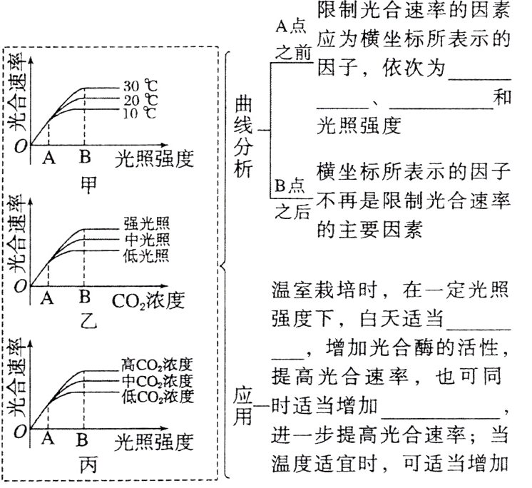 B光照强度温度适宜时可适当增加