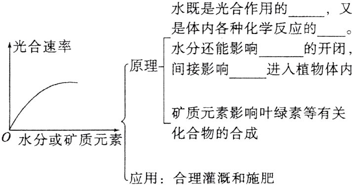 应用合理灌溉和施肥