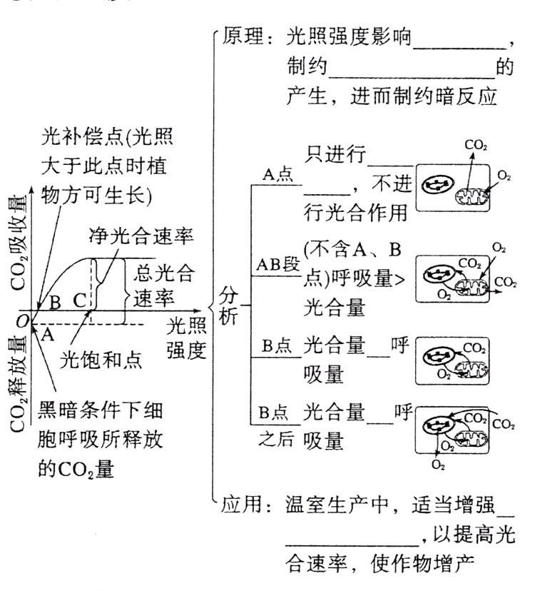 合速率使作物增产