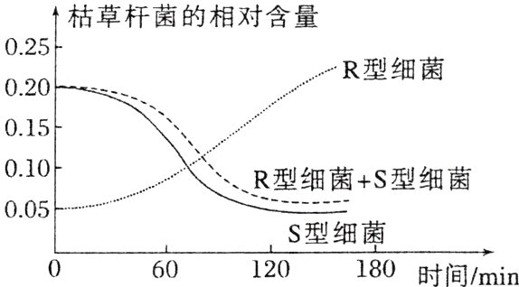 S型细菌60120180时间min