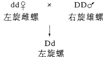 Dd左旋螺