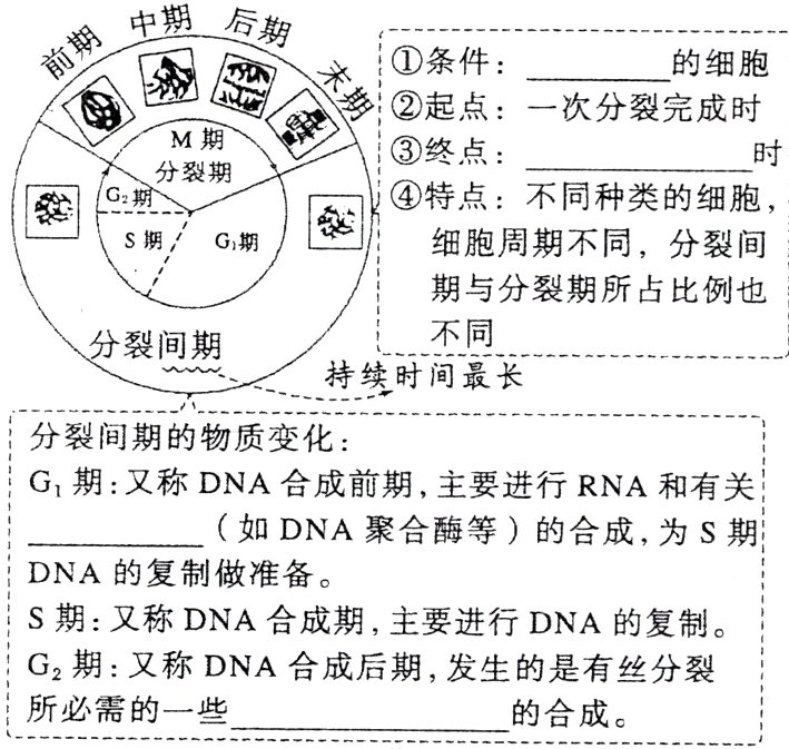 所必需的一些的合成