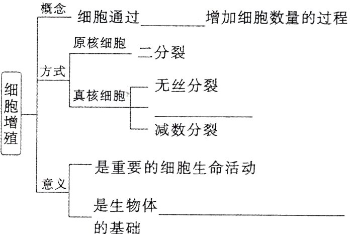 是生物体的基础