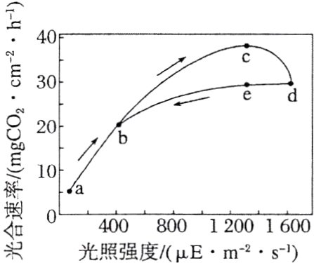 40080012001600光照强度Ems