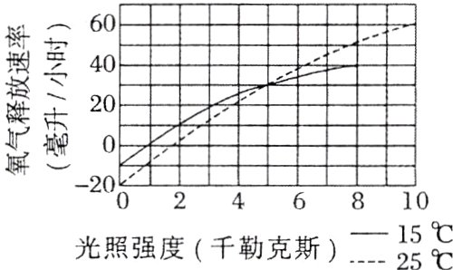 光照强度千勒克斯25忘