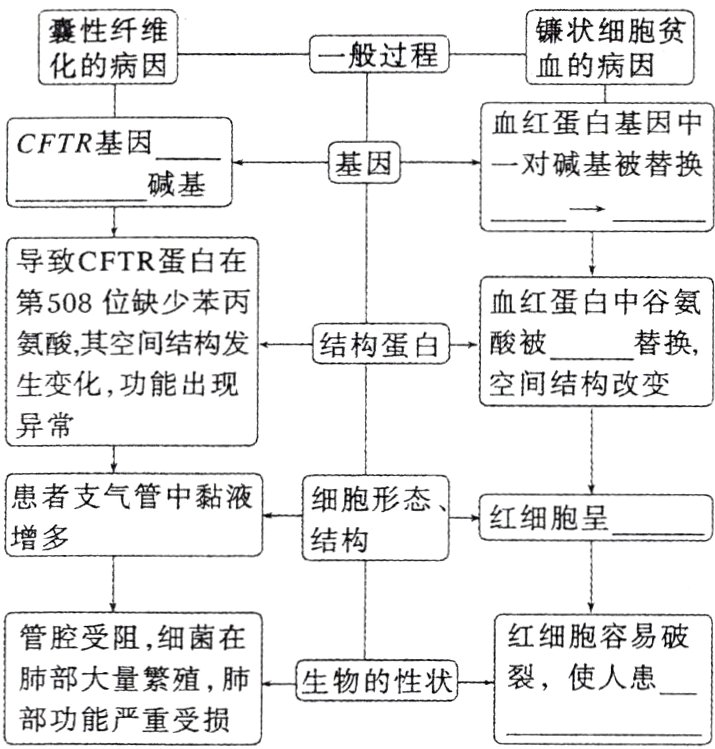 肺部大量繁殖肺生物的性状裂使人患部功能严重受损