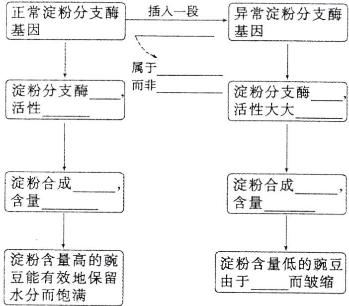 豆能有效地保留由于而皱缩水分而饱满