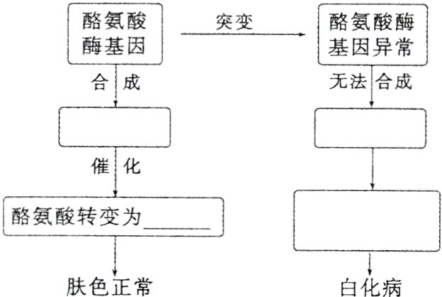 肤色正常白化病