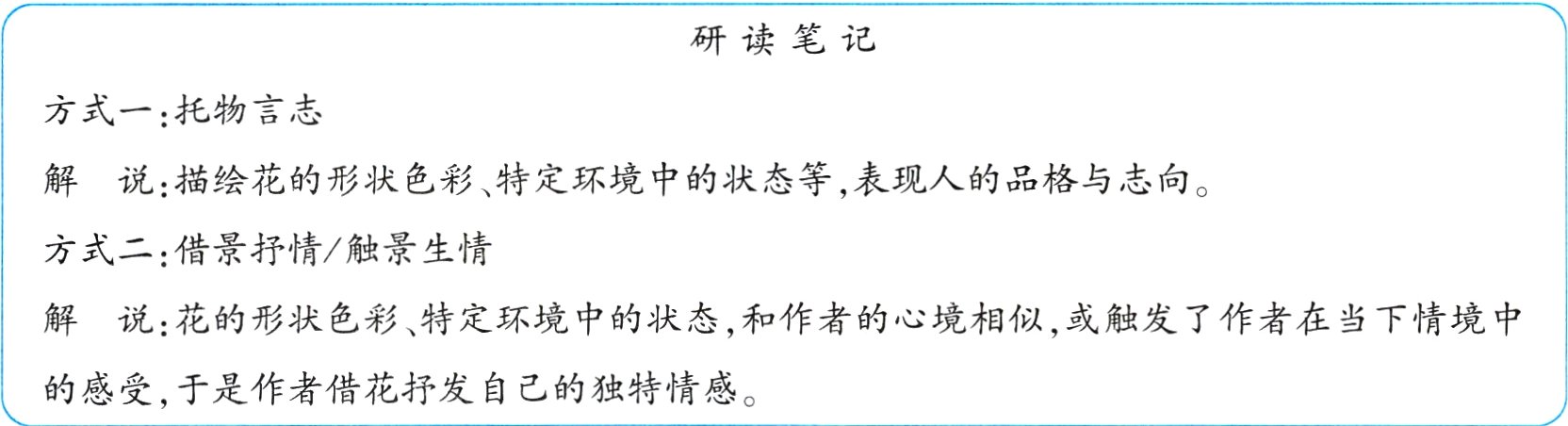 的感受于是作者借花抒发自己的独特情感