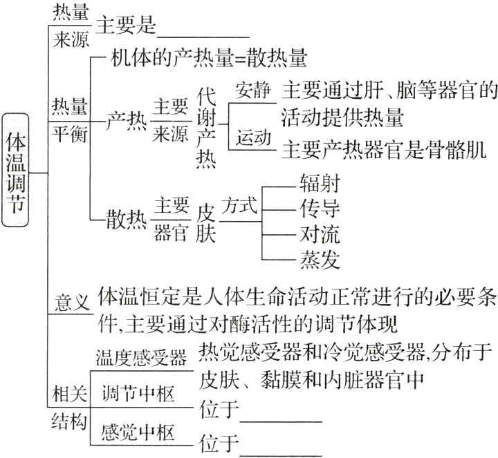结构感觉中枢位于