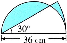 36cm
