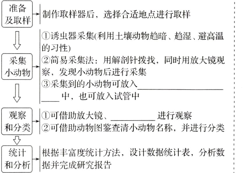 和分析据并完成研究报告