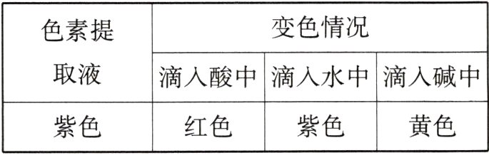 红色紫色黄色紫色