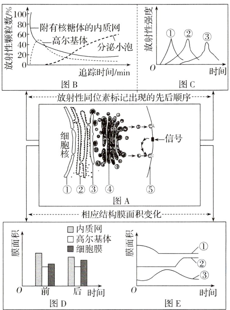 0前时间时间图D图E