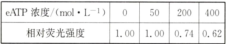 100100074062相对荧光强度