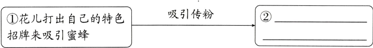 招牌来吸引蜜蜂