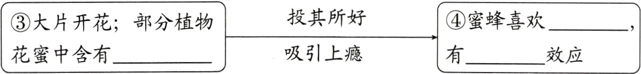 吸引上瘾花蜜中含有效应