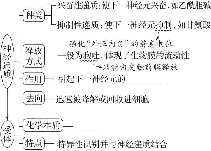 特点特异性识别并与神经递质结合