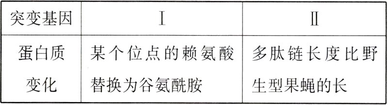 变化替换为谷氨酰胺生型果蝇的长