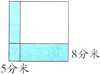 5分米