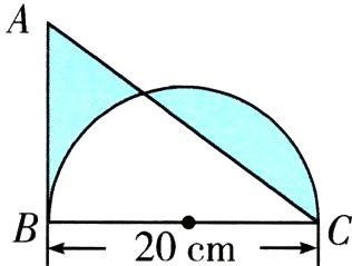 20cm