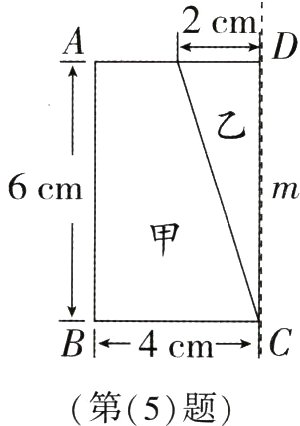 第5题