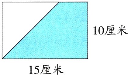 15厘米