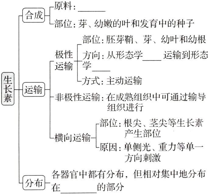 各器官中都有分布但相对集中地分布分布的部分