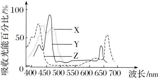 04004505055000650700波长nm