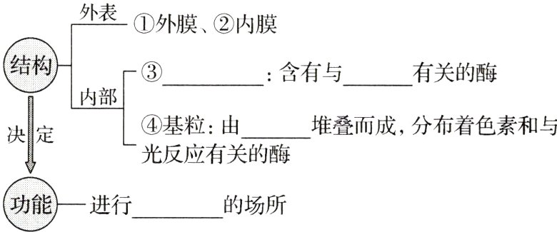 功能进行的场所