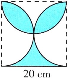20cm