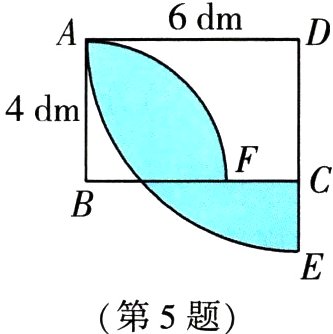 第5题